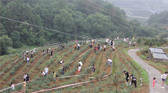 欣灵全体员工雁荡山一日游