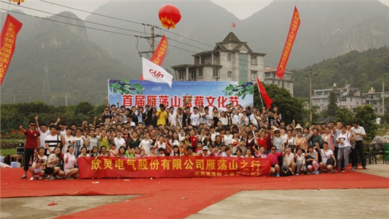 欣灵电气雁荡山旅游