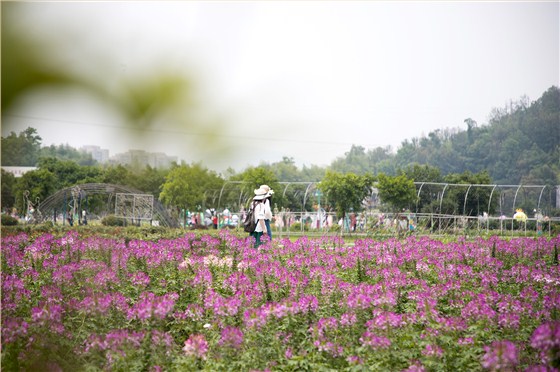 IMG_4579