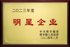 欣灵-2023年度柳市镇明星企业