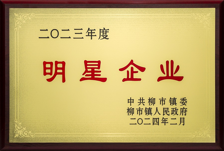 欣灵-2023年度柳市镇明星企业-2024年02月 - 副本