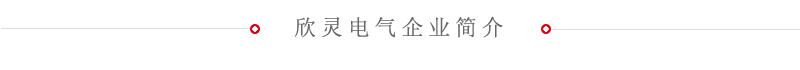 欣灵电气简介